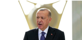 Guerre en Ukraine: Erdogan tente de jouer le médiateur auprès de Vladimir Poutine