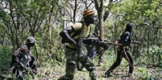 Casamance : Recrudescence des braquages, le Quai d’Orsay alerte les français