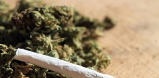 Pikine : Deux présumés dealers arrêtés