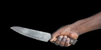 Injurié par son oncle, le neveu se fâche et lui assène plusieurs coups de couteau mortels