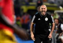 Les déclarations scandaleuses de Belmadi sur l’arbitre d’Algérie-Cameroun