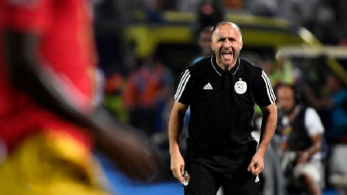 Les déclarations scandaleuses de Belmadi sur l’arbitre d’Algérie-Cameroun