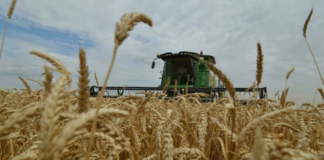 En quoi les pays africains sont-ils dépendants du commerce avec la Russie ?