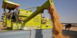 Après l’embargo indien sur le blé, la Banque mondiale tente de prévenir les famines