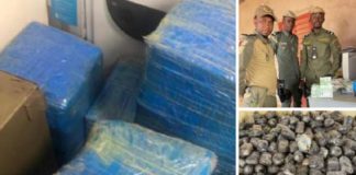 DES PRODUITS PROHIBÉS D’UNE CONTREVALEUR DE 266 MILLIONS CFA SAISIS À MBOUR ET KEUR-AYIP