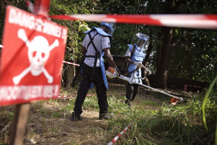 Casamance: 672 personnes tuées par les mines (CNAMS)