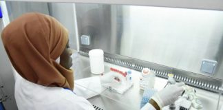 Aucun cas de Covid-19 n’a été détecté ce vendredi