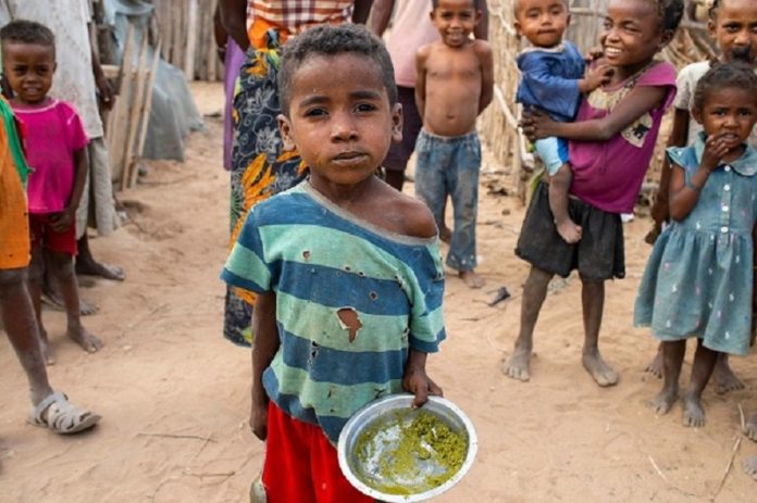 Matam-Situation alimentaire «inquiétante» de la région : Le Gouverneur recadre et émet de «sérieuses réserves»