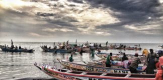 39 pirogues sénégalaises arraisonnées en Guinée, des pêcheurs sénégalais emprisonnés