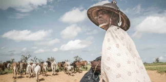 COP15 à Abidjan: changer les pratiques agricoles pour réduire la désertification