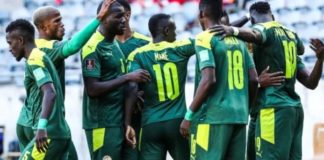 Mondial 2022 : pourquoi les Lions ne joueront pas un match amical en juin