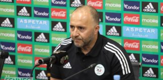 Belmadi s’en prend à Mboma : « Il est malhonnête intellectuellement, c’était un ami et il est allé sur un terrain très limite »