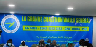 Parrainages: coalition «Wallu» victime d’un…remplissage