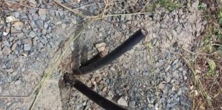 Foret classée de Mbao : Des individus mal intentionnés auraient coupé les câbles de communication du TER (photos)