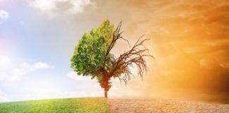 Signature d’une convention de 1,4 milliard FCFA pour lutter contre les changements climatiques