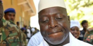 Des milliers de tonnes de bois de rose abattues entre le Sénégal et la Gambie : Yahya Jammeh sous la menace suisse