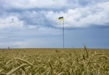 Céréales: l'Ukraine espère reprendre ses exportations «dès cette semaine»