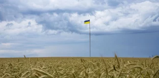 Céréales: l'Ukraine espère reprendre ses exportations «dès cette semaine»