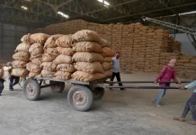 Après la farine, l'Inde envisage de restreindre ses exportations de riz brisé