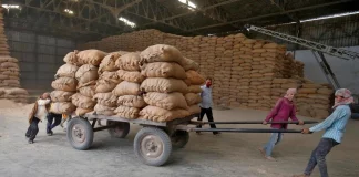 Après la farine, l'Inde envisage de restreindre ses exportations de riz brisé