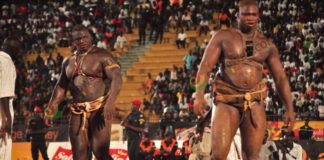 Lutte : Lune Productions décroche le combat Bombardier / Tapha Tine