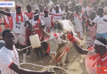 Retour sur images Tamkharite 2022 à Thiaroye Sur Mer de grand bœuf ne manquent pas au rendez-vous..