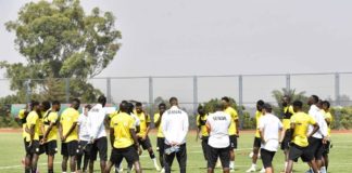 Préparation Mondial : le deuxième adversaire des Lions connu