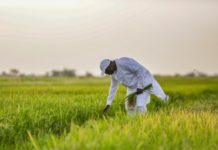 "Situation économique du Sénégal": tempête sur les agrégats !