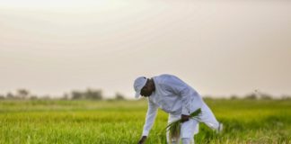 "Situation économique du Sénégal": tempête sur les agrégats !