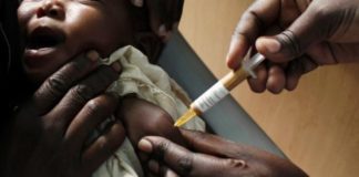 Des espoirs émergent contre le fléau du paludisme en Afrique