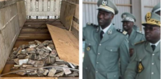 Kidira : Saisie historique de 300 kg de cocaïne, soit 24 milliards FCfa