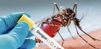 Des cas de dengue recensés à Dakar et dans plusieurs régions
