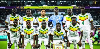 Coupe du Monde 2022 : les Lions entre regrets et espoir