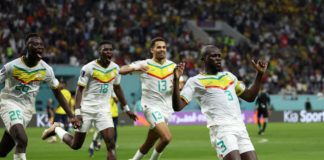 Coupe du Monde : les Lions tombent sur l'Angleterre en 8es de finale