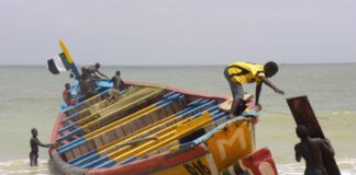 Journée mondiale de la pêche : une mauvaise gestion et l'industrie destructrice de la farine de poisson dénoncées