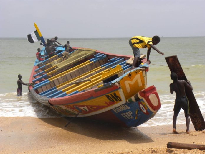 Journée mondiale de la pêche : une mauvaise gestion et l'industrie destructrice de la farine de poisson dénoncées