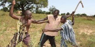 Linguère : de violents affrontements entre éleveurs et et agriculteurs font 4 blessés graves