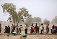 Kaolack - Lutte contre la sécheresse dans le Sahel, Guinguinéo, Gossas et Mbirkilane choisies comme zones pilotes