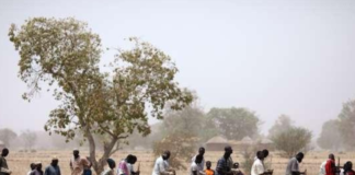 Kaolack - Lutte contre la sécheresse dans le Sahel, Guinguinéo, Gossas et Mbirkilane choisies comme zones pilotes