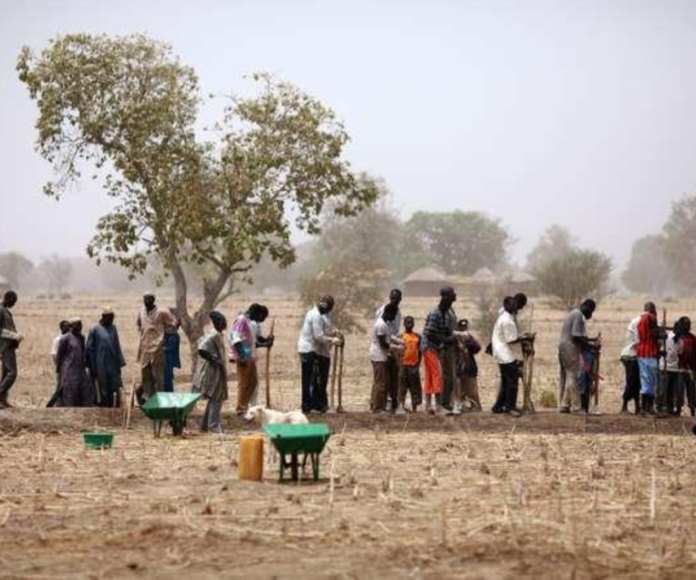 Kaolack - Lutte contre la sécheresse dans le Sahel, Guinguinéo, Gossas et Mbirkilane choisies comme zones pilotes